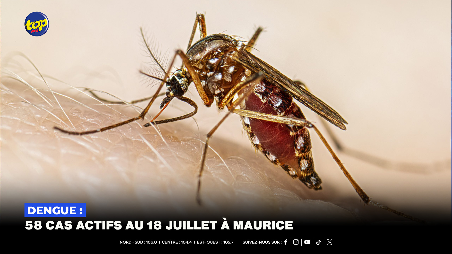 Dengue Dengue : 58 cas actifs au 18 juillet à Maurice