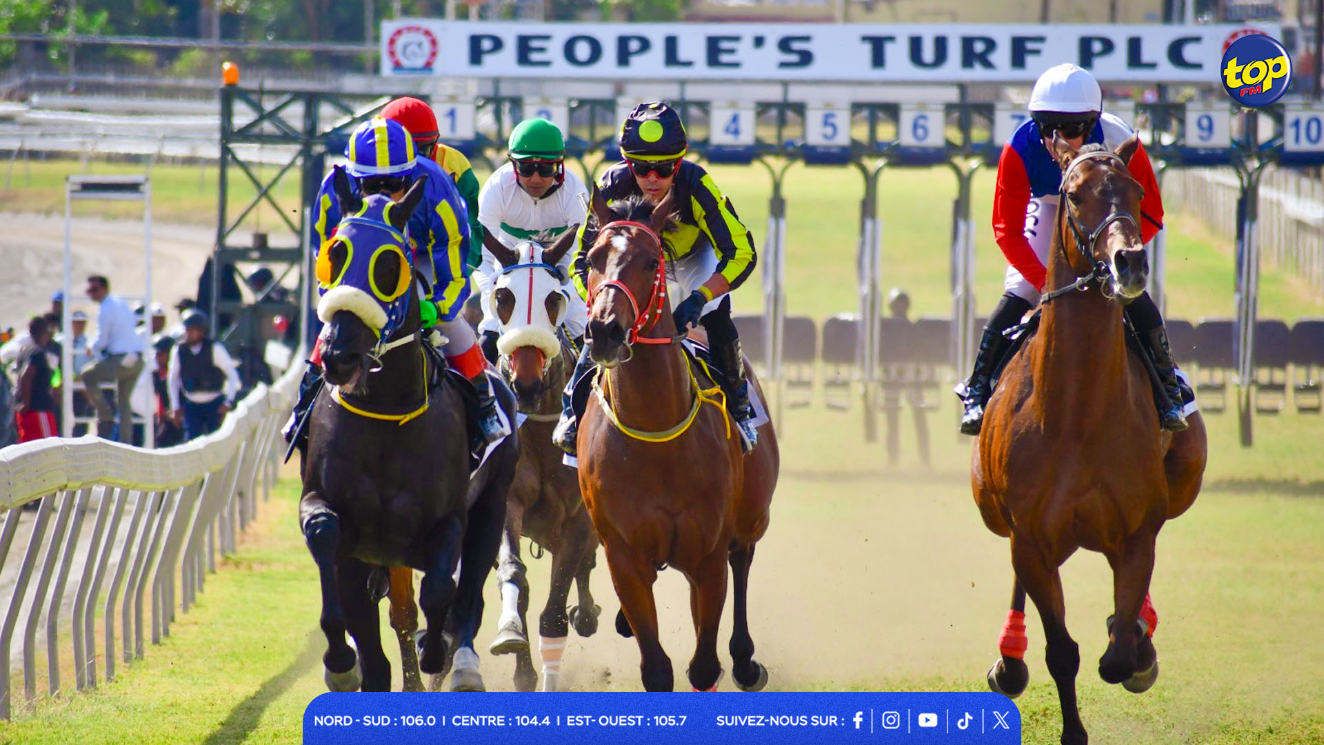 Hippisme Hippisme