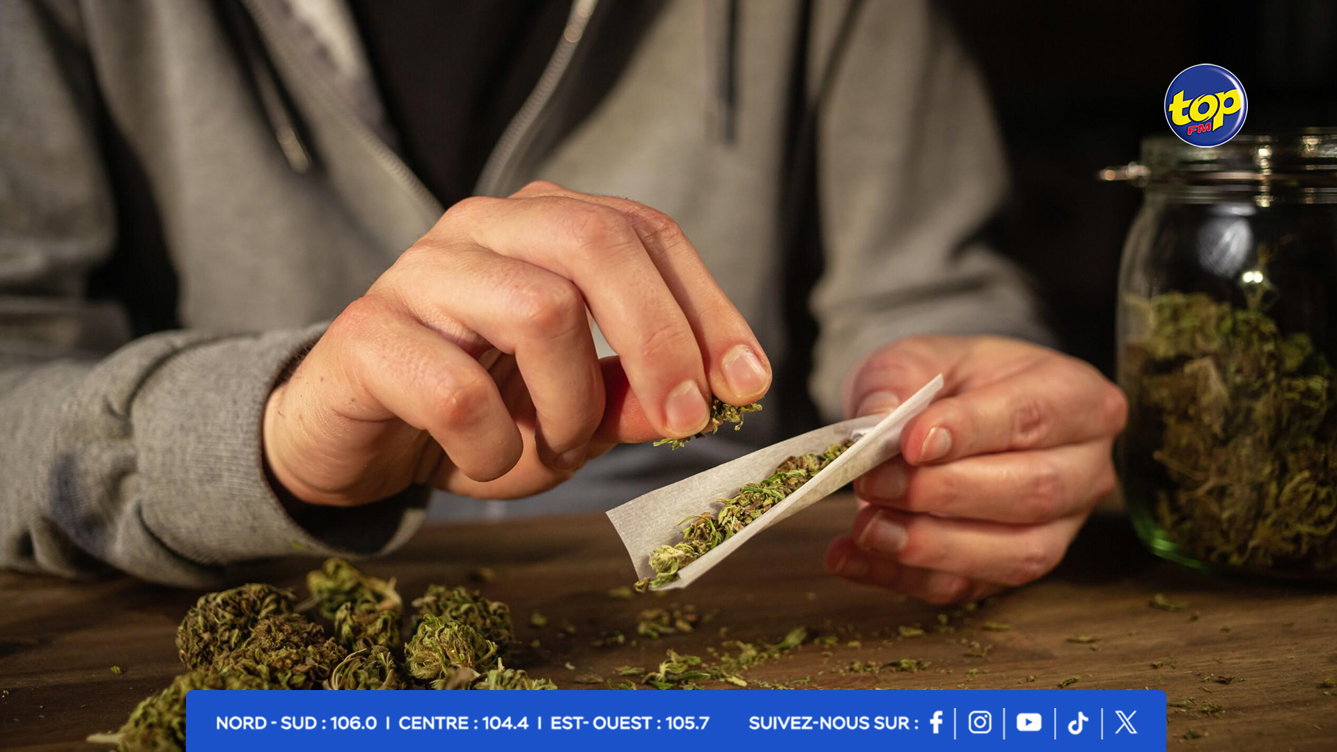 cannabis cannabis